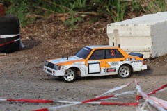 2024_08_03_RC_Rally_Blankenburg_0049