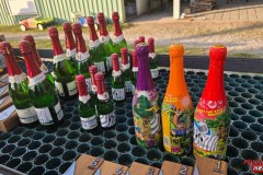 2025_06_14_RSN_Lauf_Cobra_Racing_Grossgrabe_0121