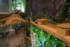 Spielwarenmesse_Absima_2025_0067