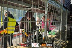 2024_09_13_DM_VG10_AMC_Hamm_0615