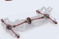 Corally-SBX425_-3