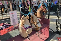 Hobbymesse-Leipzig-2025-0279