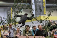 2025_04_12_Intermodellbau_0408