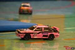2024_11_09_RC_Rallycross_Hamburg_Breitenfelder_SV_0100