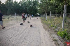 2025_06_21_Sommerfest_MC_Fuerstenwalde_0091