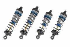 Team-Associated-RC1071D_-5