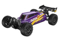 udi-r-c-udi-r-c-ud1204pro-1-12-4wd-brushless-buggy-pro-purpl-pic1_0029_600x600