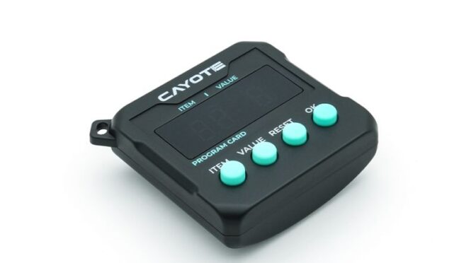 Program Box Qlink CAYOTE